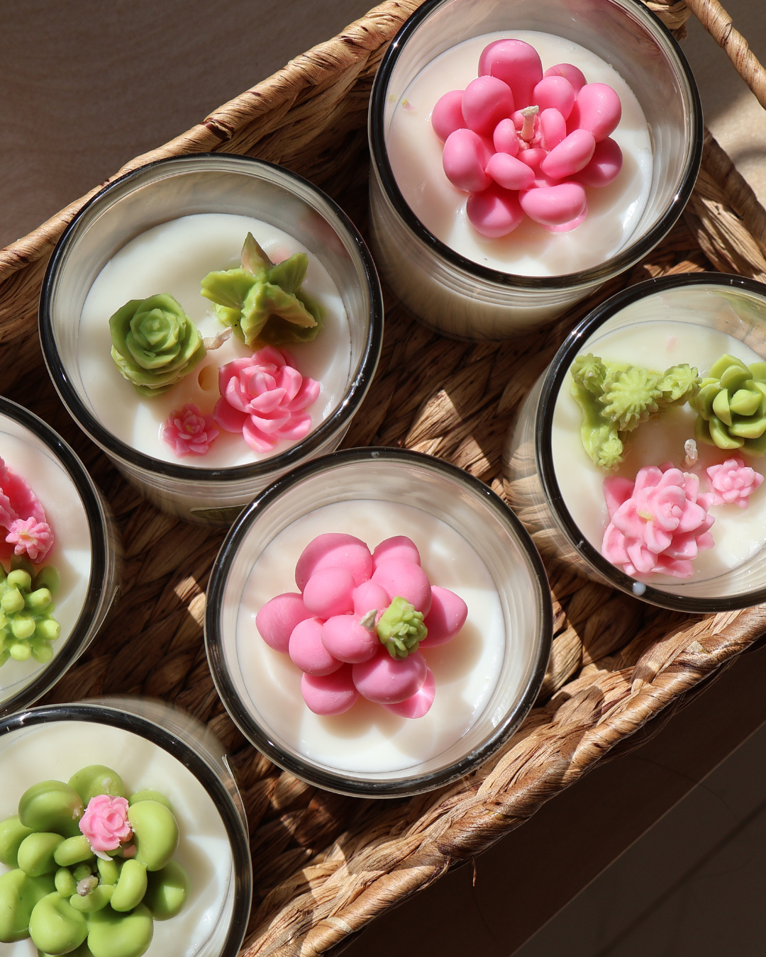 Velas suculentas