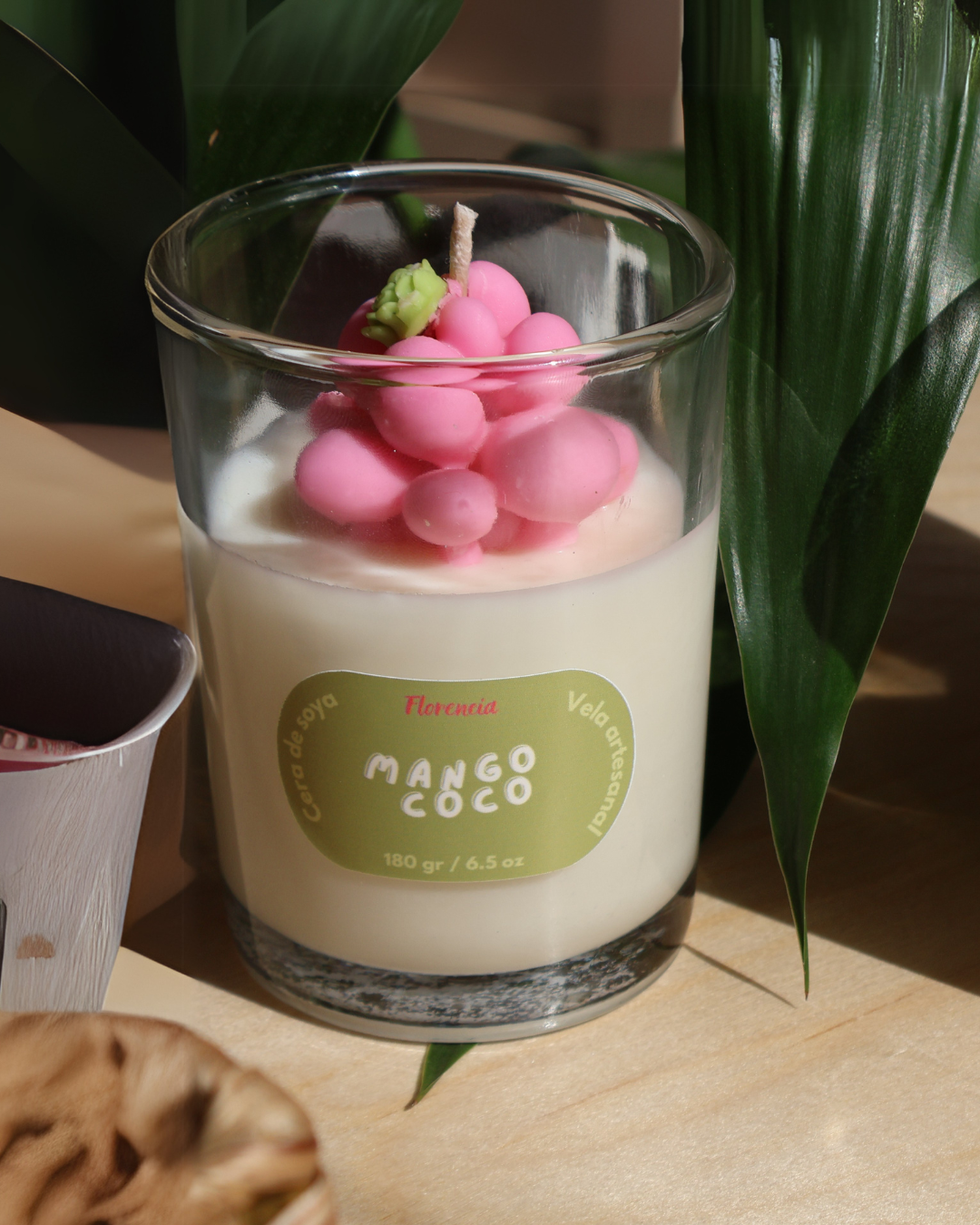 Velas suculentas