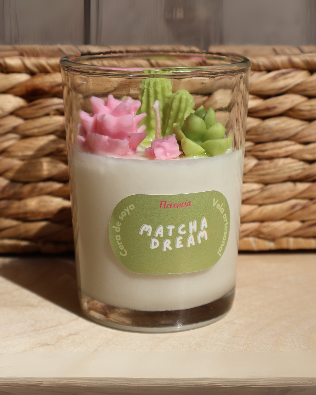 Velas suculentas