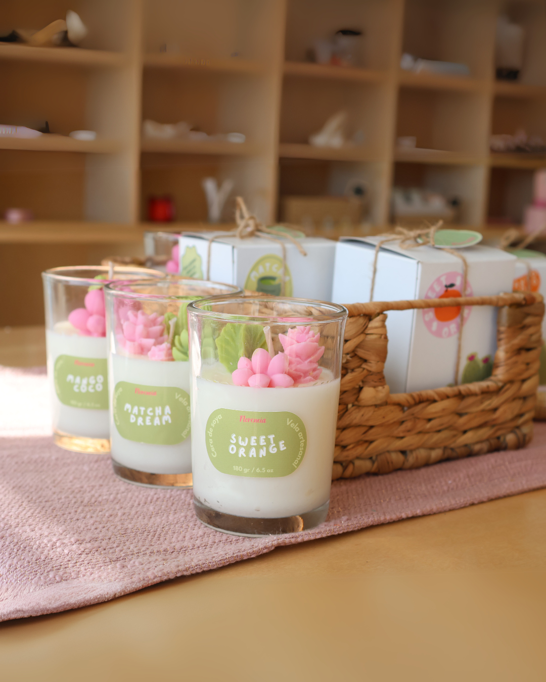 Velas suculentas