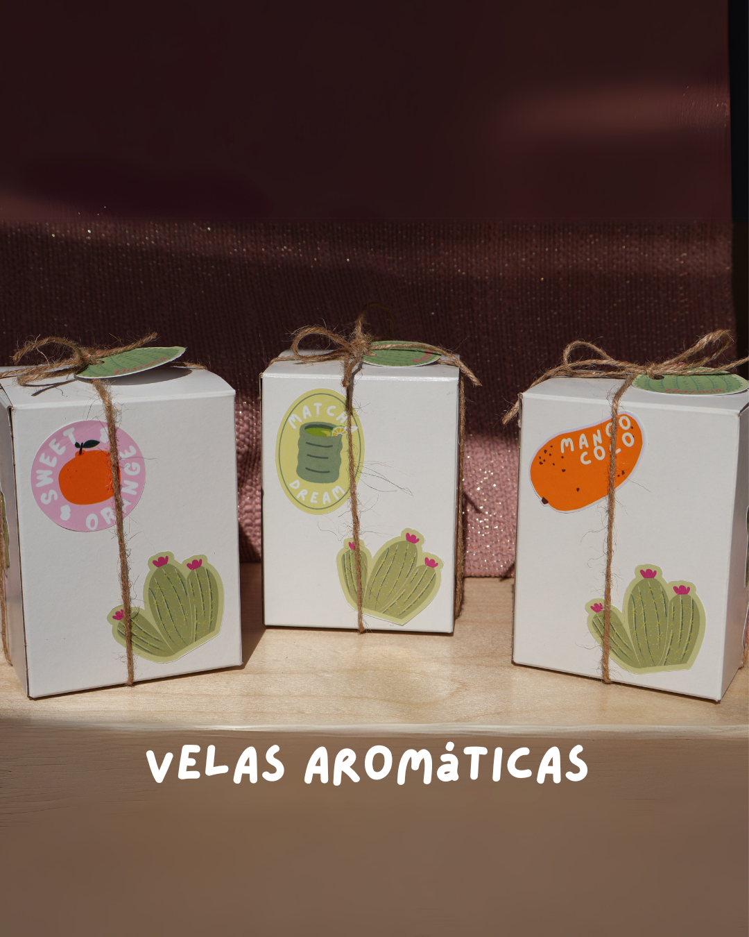 Velas suculentas